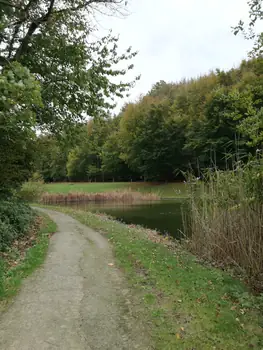 Gaasbeek + Kasteel van Gaasbeek (Lennik, België)